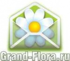 Логотип компании Доставка цветов Гранд Флора (ф-л г.Менделеевск)